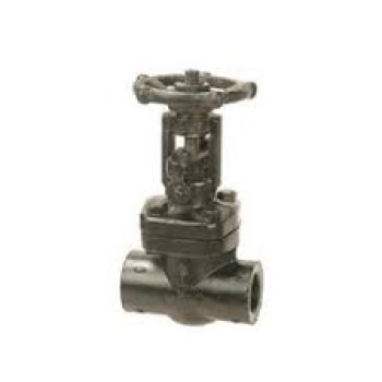 CS Forged Steel Gate Valve Screwed  Reduced Bore Class 800 (Wj-Neta)